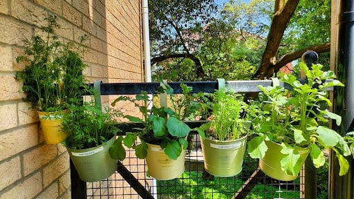 Vertical Veggie Garden